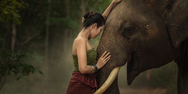 woman and elephant embracing