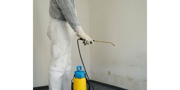 Specialist in combatting mould wearing overalls in an apartment with a pressure sprayer.